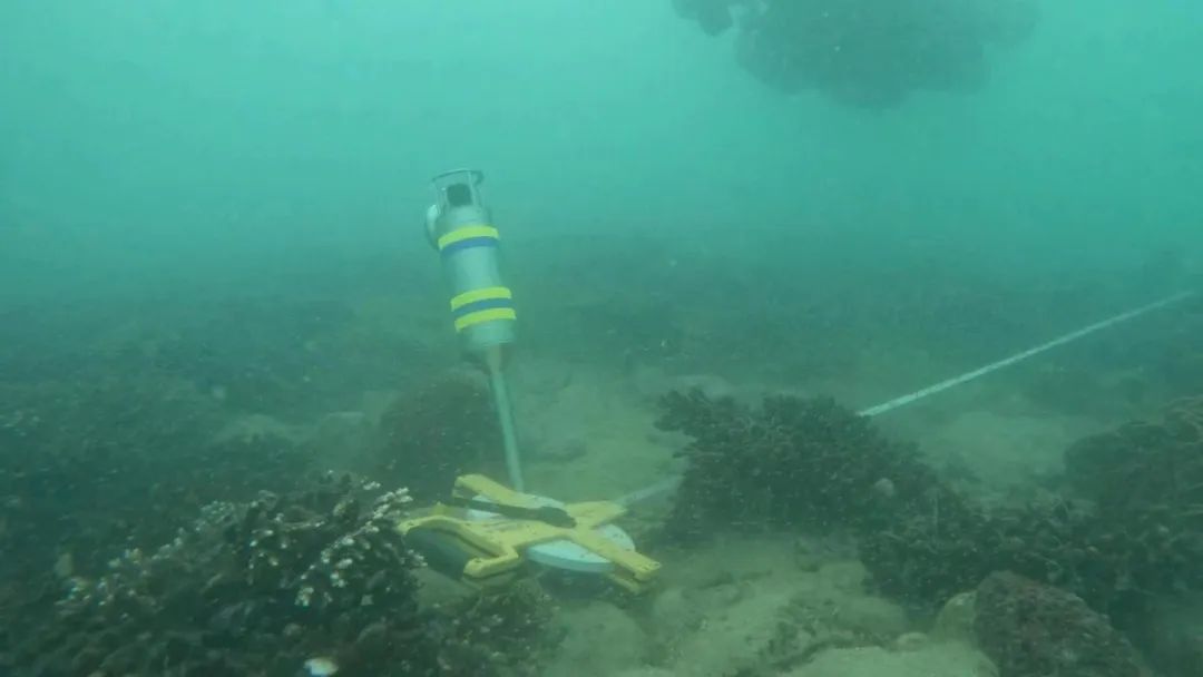 Dpv Scuba Diving