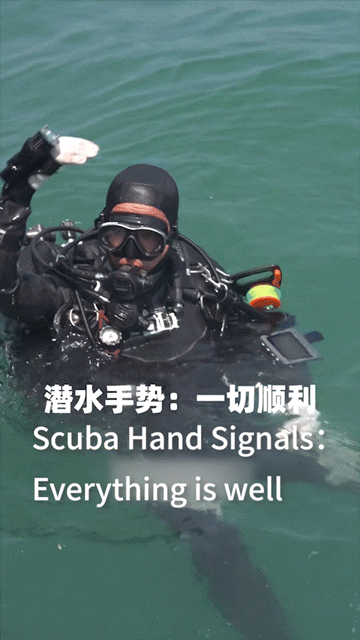 Underwater Diver Propulsion Vehicles
