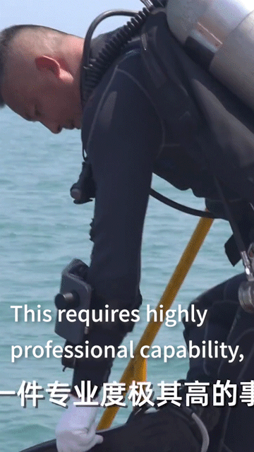 Underwater Diver Propulsion