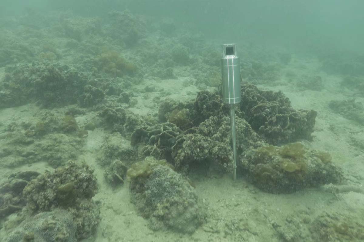 Ocean Plan Is Actively Joining in the Global Estuaries Monitoring Programme